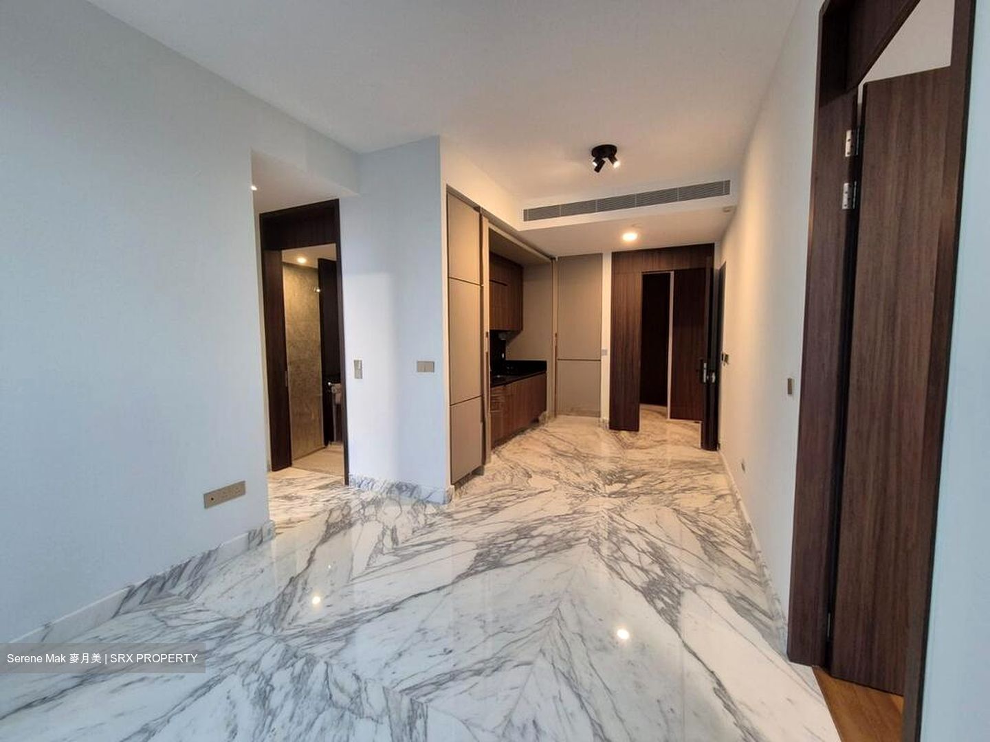 Van Holland (D10), Condominium #511294951